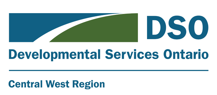 DSO Logo