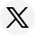 X Icon